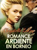 Romance ardiente en Borneo - un cuento corto erótico (eBook, ePUB)