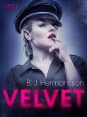 Velvet - Relato erótico (eBook, ePUB)