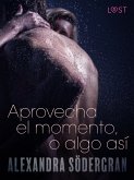 Aprovecha el momento, o algo así - Relato erótico (eBook, ePUB)