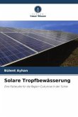Solare Tropfbewässerung