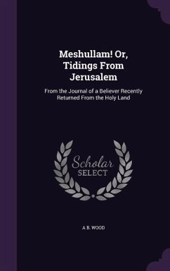 Meshullam! Or, Tidings From Jerusalem - Wood, A B