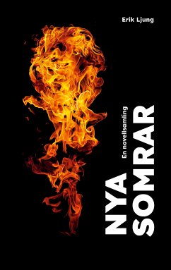 Nya somrar (eBook, ePUB) - Ljung, Erik