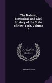 The Natural, Statistical, and Civil History of the State of New-York, Volume 3