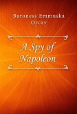 A Spy of Napoleon (eBook, ePUB)