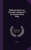 Relacion Entre Los Terrenos Calcareos Y La Clorosis De La Pina