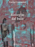 Risveglio dal buio (eBook, ePUB)