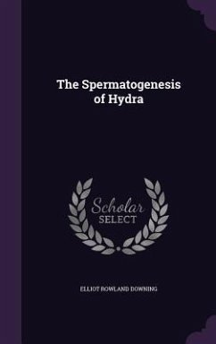 The Spermatogenesis of Hydra - Downing, Elliot Rowland