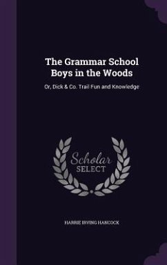 Cover The Grammar School Boys in the Woods