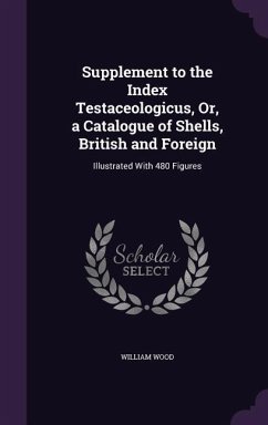 Supplement to the Index Testaceologicus, Or, a Catalogue of Shells, British and Foreign - Wood, William