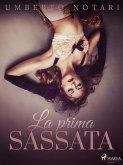 La prima sassata (eBook, ePUB)