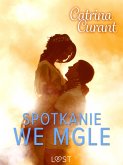 Spotkanie we mgle – opowiadanie erotyczne (eBook, ePUB)