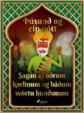 Sagan af öðrum karlinum og báðum svörtu hundunum (Þúsund og ein nótt 5) (eBook, ePUB)