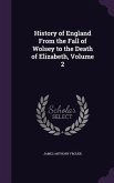 History of England From the Fall of Wolsey to the Death of Elizabeth, Volume 2