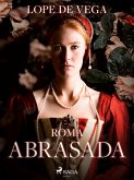 Roma abrasada (eBook, ePUB)