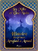 Histoire des princes Amgiad et Assad (eBook, ePUB)