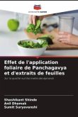 Effet de l'application foliaire de Panchagavya et d'extraits de feuilles