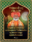 Sagan af indverska spekingnum Padmanaba og hinum unga mjöðsölumanni (Þúsund og ein nótt 16) (eBook, ePUB)