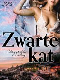 Zwarte kat - Erotisch verhaal (eBook, ePUB)