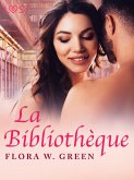 La Bibliothèque - Une nouvelle érotique (eBook, ePUB)