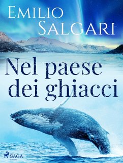 Cover Nel paese dei ghiacci (eBook, ePUB)