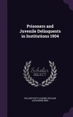 Prisoners and Juvenile Delinquents in Institutions 1904