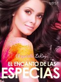 El encanto de las especias - un cuento corto erótico (eBook, ePUB)