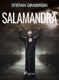 Salamandra (eBook, ePUB)