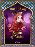 Sagan af Amíne (Þúsund og ein nótt 35) (eBook, ePUB)