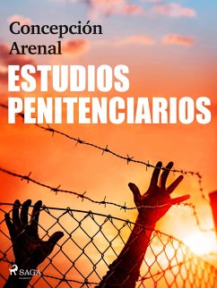 Estudios penitenciarios (eBook, ePUB) - Arenal, Concepción