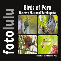 Birds of Peru - fotolulu, Sr.