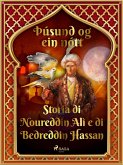 Sagan af Núreddín Alí og Bedreddín Hassan (Þúsund og ein nótt 46) (eBook, ePUB)