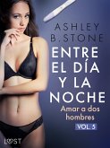 Entre el día y la noche 5: Amar a dos hombres – una novela erótica (eBook, ePUB)