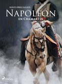 Napoleón en Chamartín (eBook, ePUB)