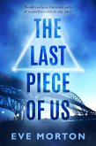 The Last Piece of Us (eBook, ePUB)