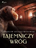 Tajemniczy wróg (eBook, ePUB)