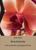 Bruchstücke (eBook, ePUB)