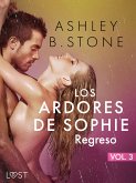 Los ardores de Sophie 3: Regreso - una novela corta erótica (eBook, ePUB)