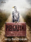 Pielgrzymi (eBook, ePUB)