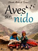 Aves sin nido (eBook, ePUB)