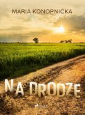 Na drodze (eBook, ePUB)