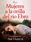 Mujeres a la orilla del Ebro (eBook, ePUB)