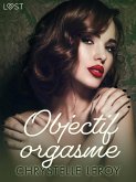 Objectif orgasme - Une nouvelle érotique (eBook, ePUB)