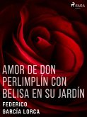 Amor de don Perlimplín con Belisa en su jardín (eBook, ePUB)