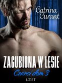 Czarci dom 3: Zagubiona w lesie – seria erotyczna (eBook, ePUB)