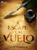 A escape y al vuelo (eBook, ePUB)