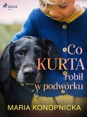 Co Kurta robił w podwórku (eBook, ePUB)