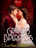 Grandes esperanzas (eBook, ePUB)