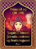 Sagan af hinum fjörutíu vezírum og drottningunni (Þúsund og ein nótt 9) (eBook, ePUB)