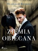 Ziemia Obiecana (eBook, ePUB)