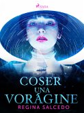 Coser una vorágine (eBook, ePUB)